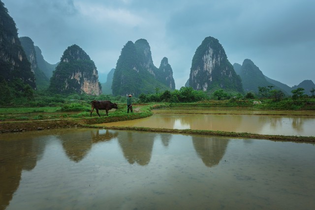 二十四节气谷雨的由来和习俗美篇,二十四节气谷雨动画视频完整