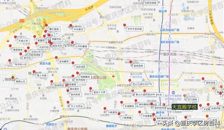 两江新区七龙珠学校,新的七龙珠分校