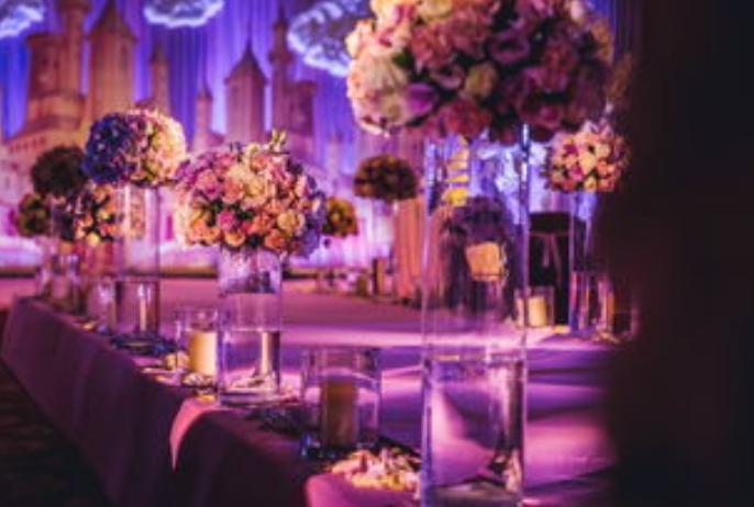 富豪为何热衷游艇,富豪为什么热衷去美国