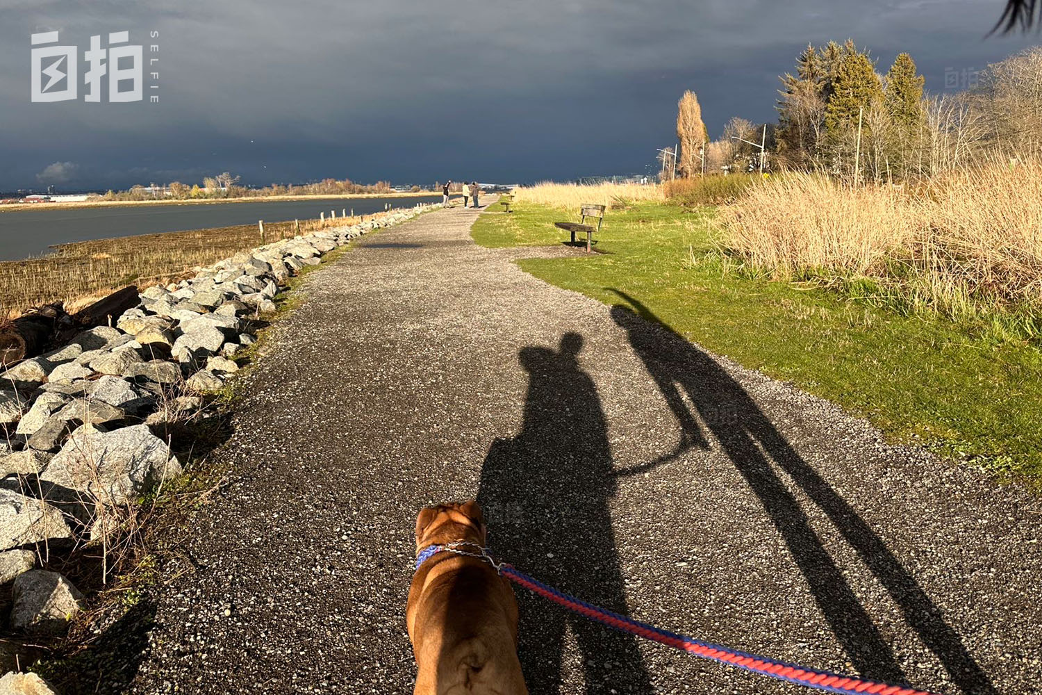 我，国内年薪80万，赔光积蓄后到国外当维修工，一天最多挣4000块