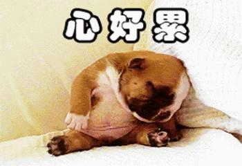 魔域手游2官方正版能搬砖嘛,魔域手游2要怎么搬砖才赚得多