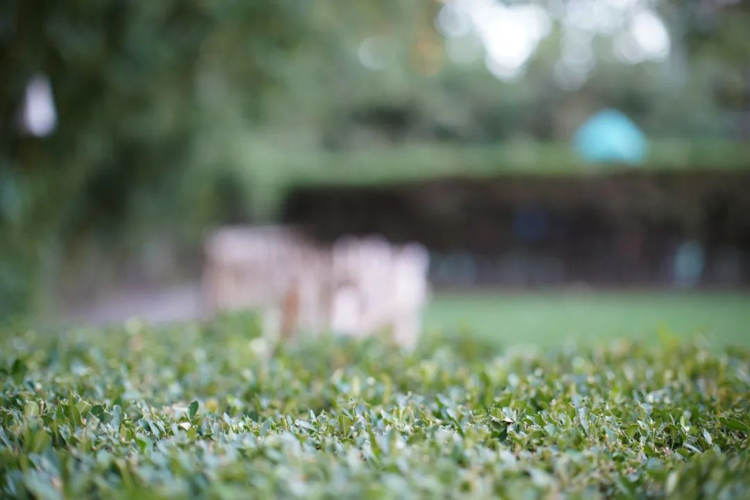 森养af35mmf18fe开箱体验,森养50mmf1.4二代锐度