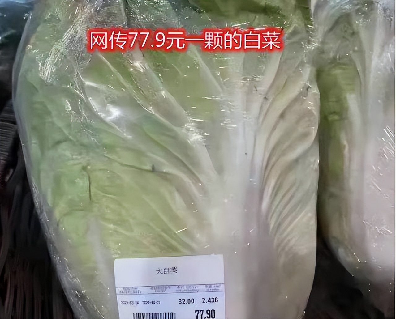 自制免浇水发豆芽,自己怎么做发豆芽神器