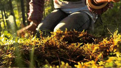 一碗正宗的蕈油面等你来品尝,全上海难觅的蕈油面