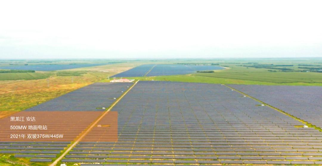 校友企业|阳光能源：手握300+项国家专利、全球新能源企业500强