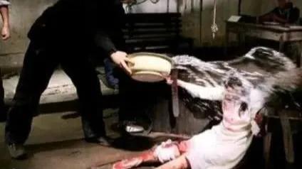 我的谍战小说,我的小说全集免费阅读