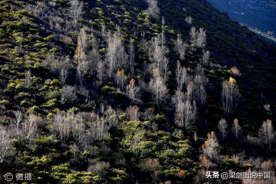 走进大美甘肃我的家，影像记录甘南藏族自治州，卓尼县民族文化。