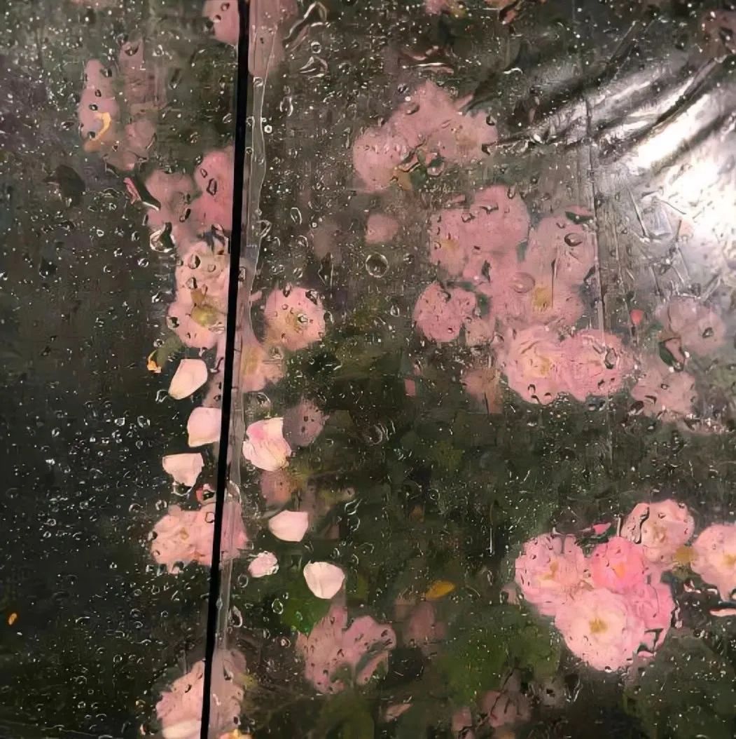 微信朋友圈动态背景图,微信朋友圈背景图暴富