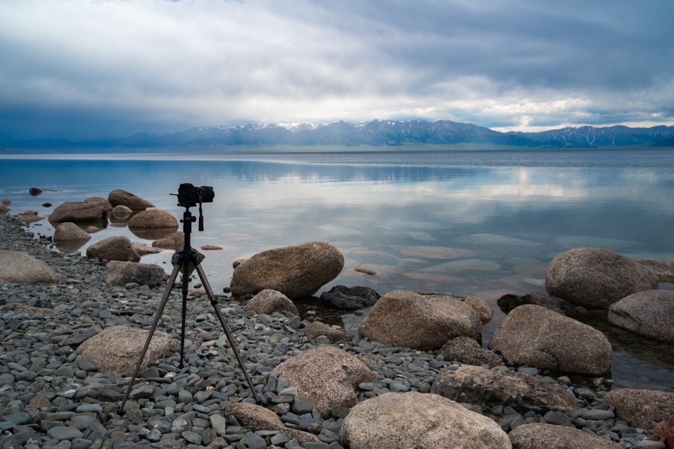 新疆伊犁之美,走了一圈才发现世界万物远不及你