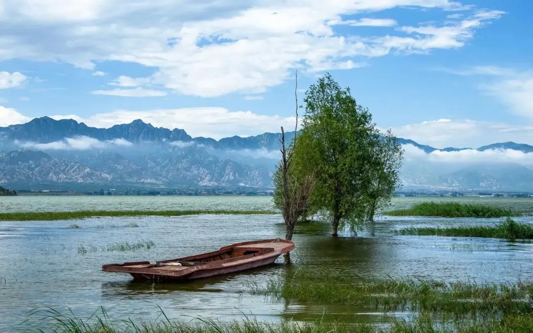 关于节约用水用电的名言警句,关于节约用水的名言名句有哪些