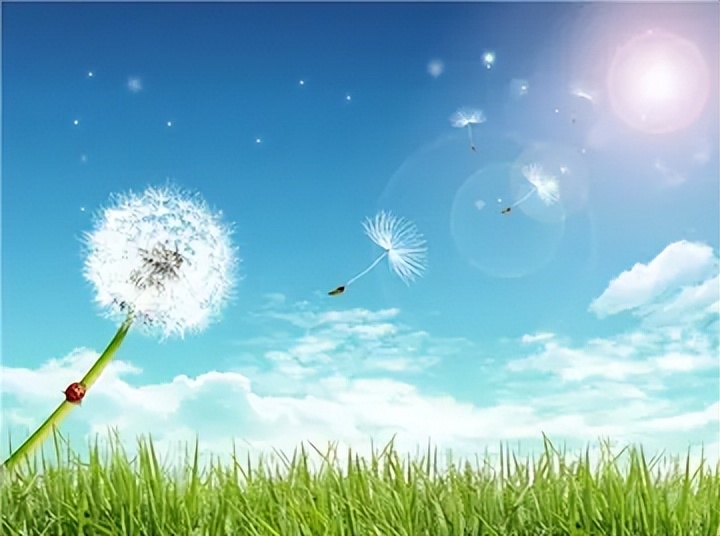 你适合创业吗创业要注意哪些事项,创业应该选择什么样的创业模式