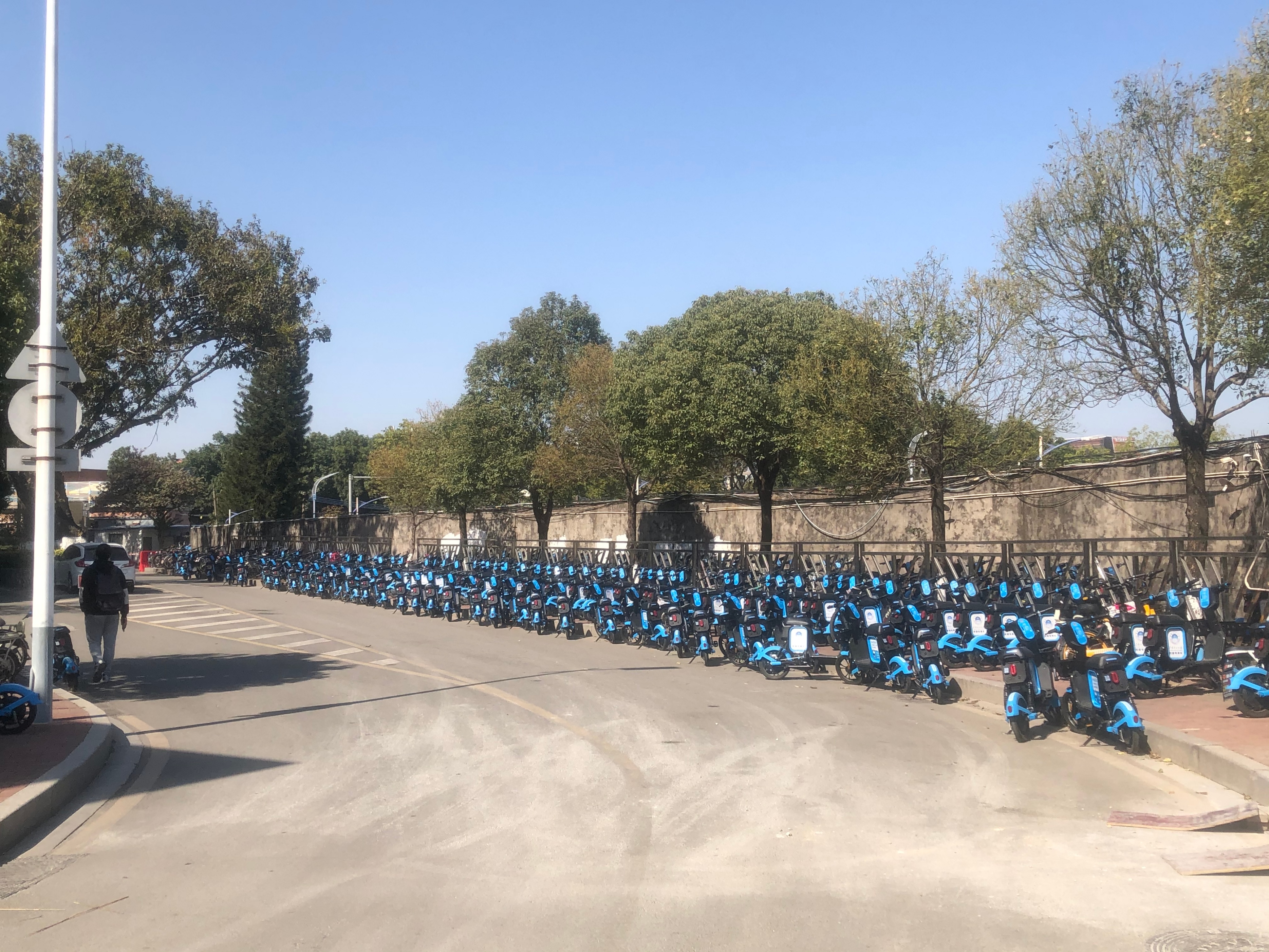 广州小城五山这个地方有多少个大学?