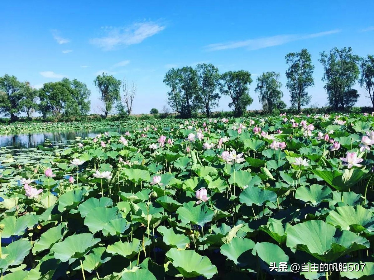 辽宁省沈阳市新民市地图,辽宁省沈阳市新民市住家阿姨