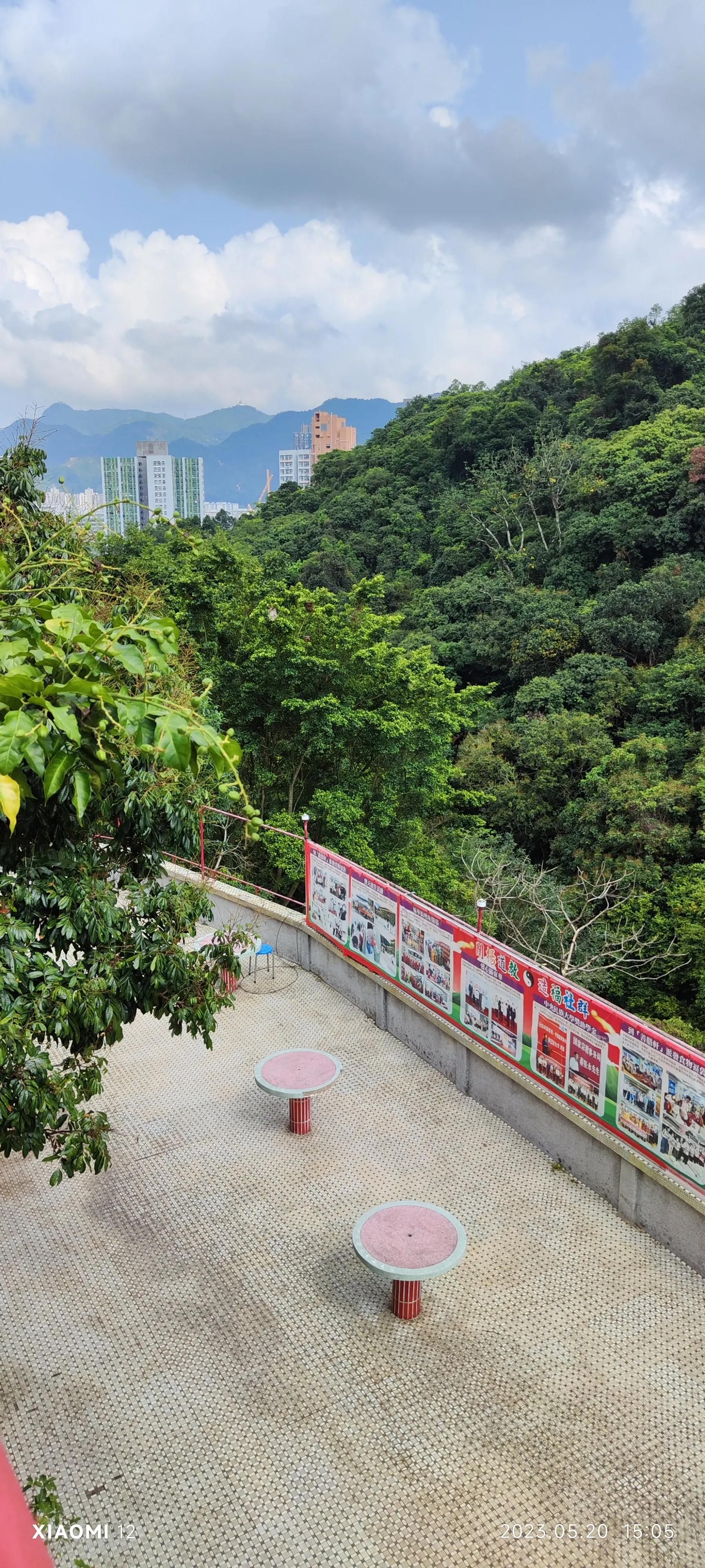 香港大围自由行，重点关注了药品、肉菜以及免税店里香烟的行情