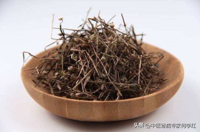 微小病变型肾病综合症中西医结合,肾病综合征如何中药治疗