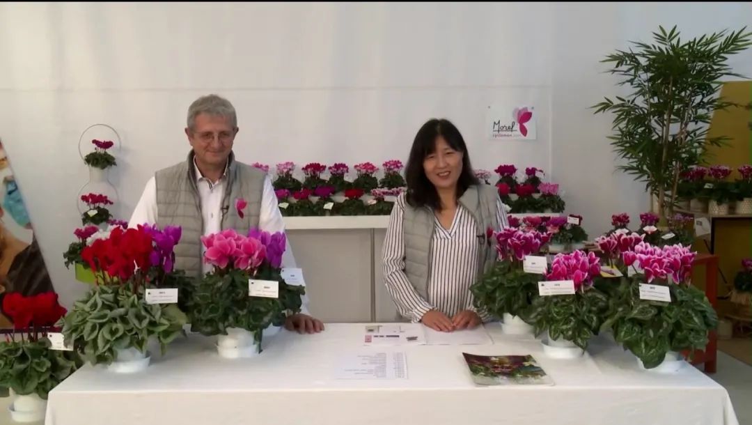 娉曞浗鑾幈灏斾粰瀹㈡潵鍝佺,鑾幈灏斾粰瀹㈡潵