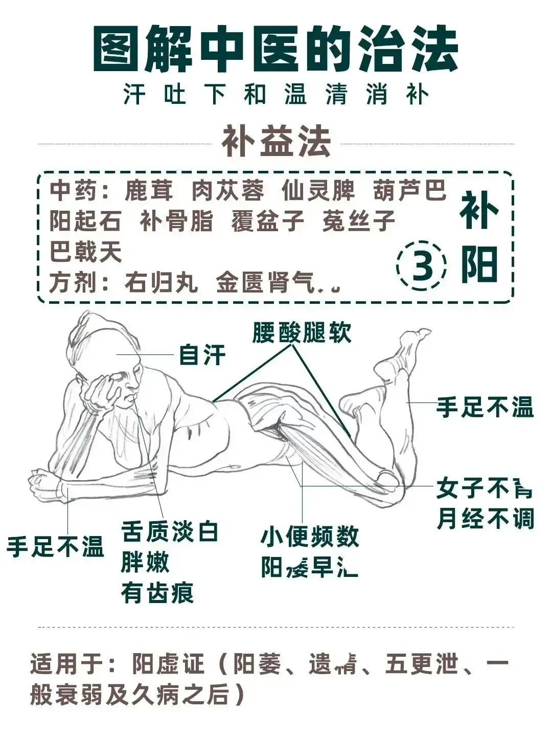 阳虚气虚血虚体质怎么调理吃啥药,气虚血虚阴虚阳虚的辨证