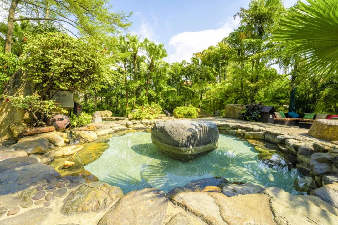 最新厦门游玩攻略,厦门5天新年游玩攻略