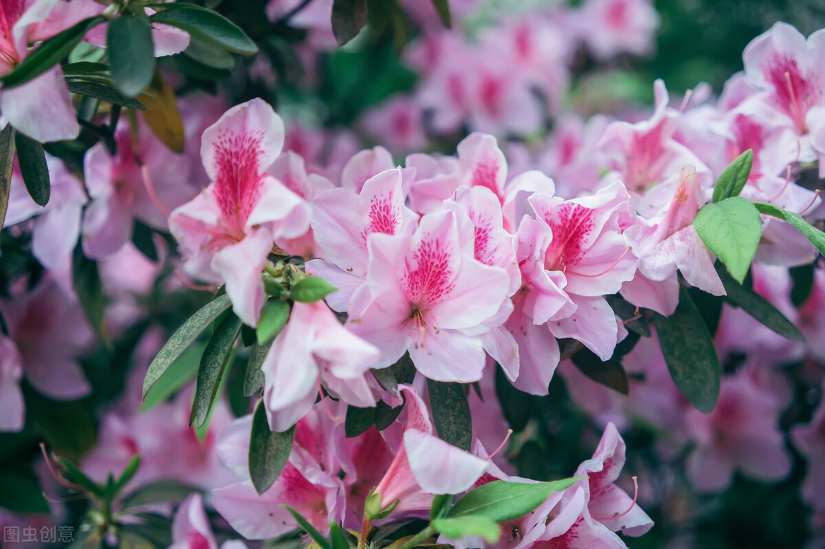 闺女上学谈恋爱怎么办,养女在家里没地位27岁不敢谈恋爱