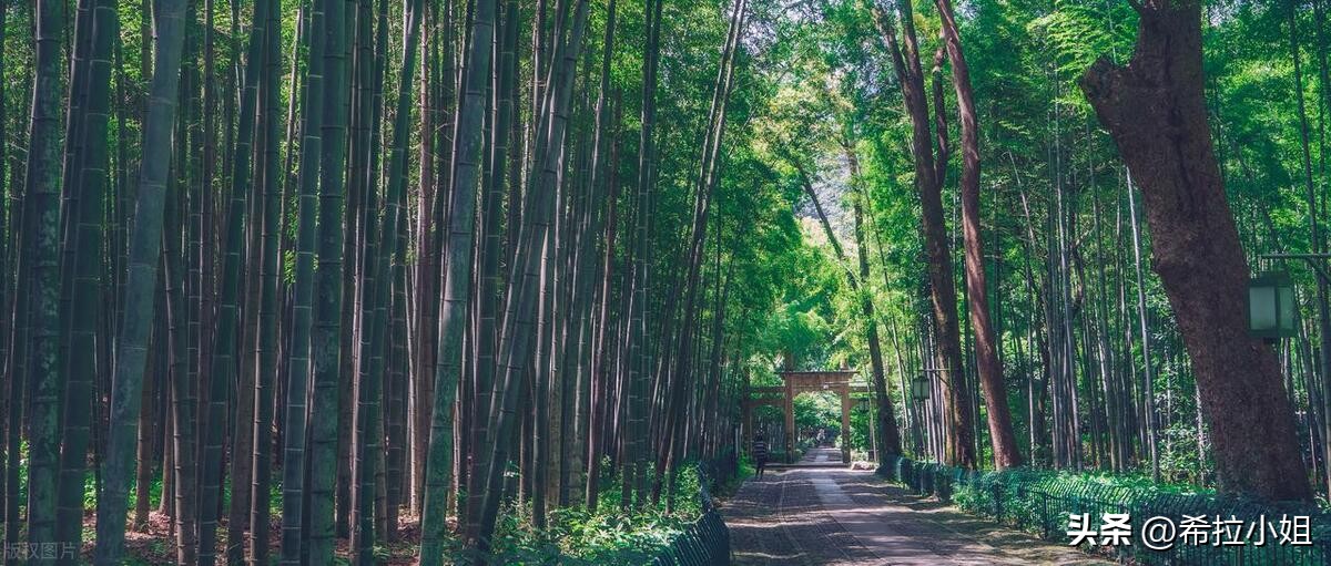 杭州新西湖十景更适合游览哪一景,杭州西湖新十景游玩攻略