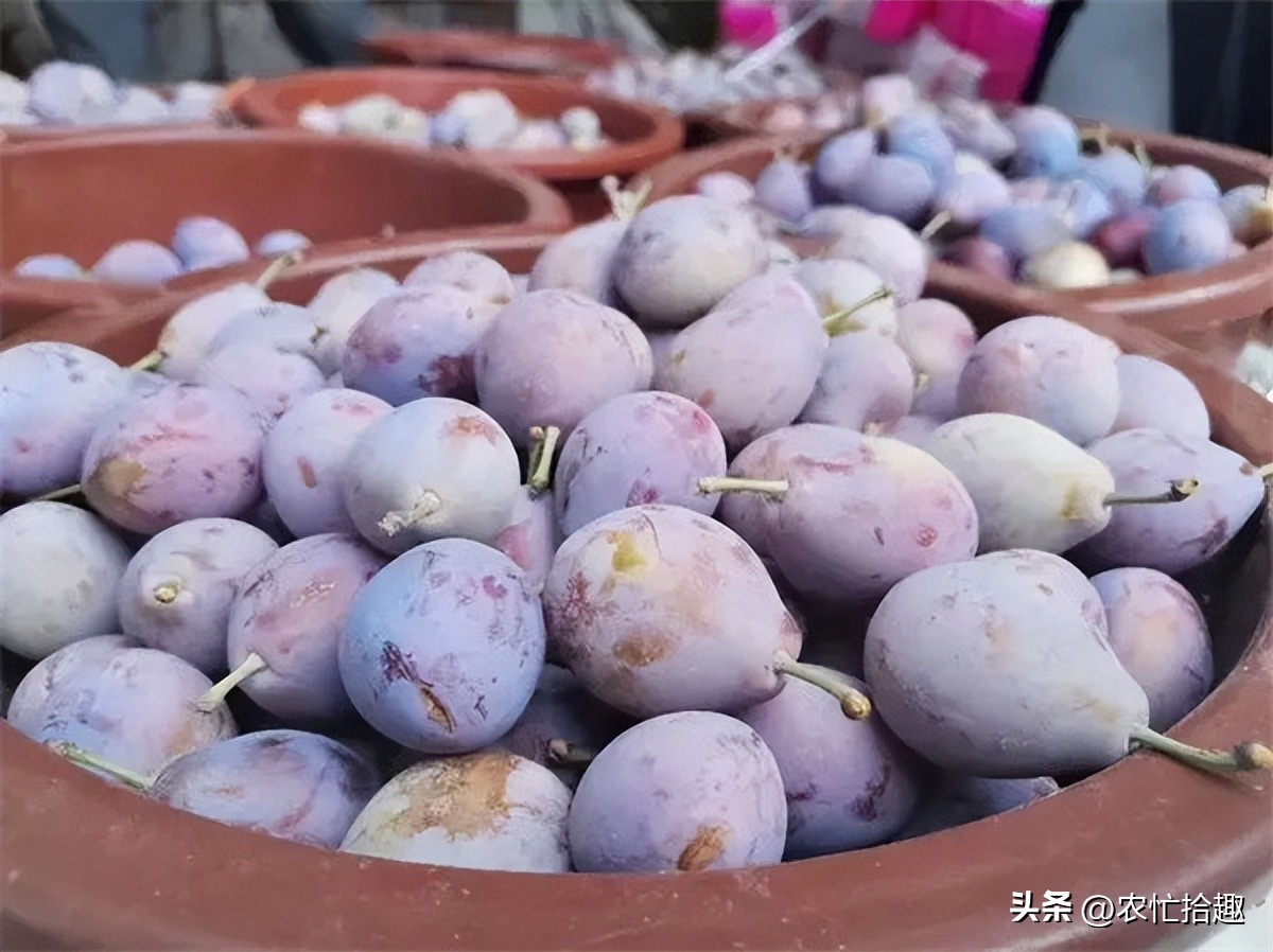 一斤20元跌到4元，跟风种到凉凉，如今又遇早采，消费者不买账