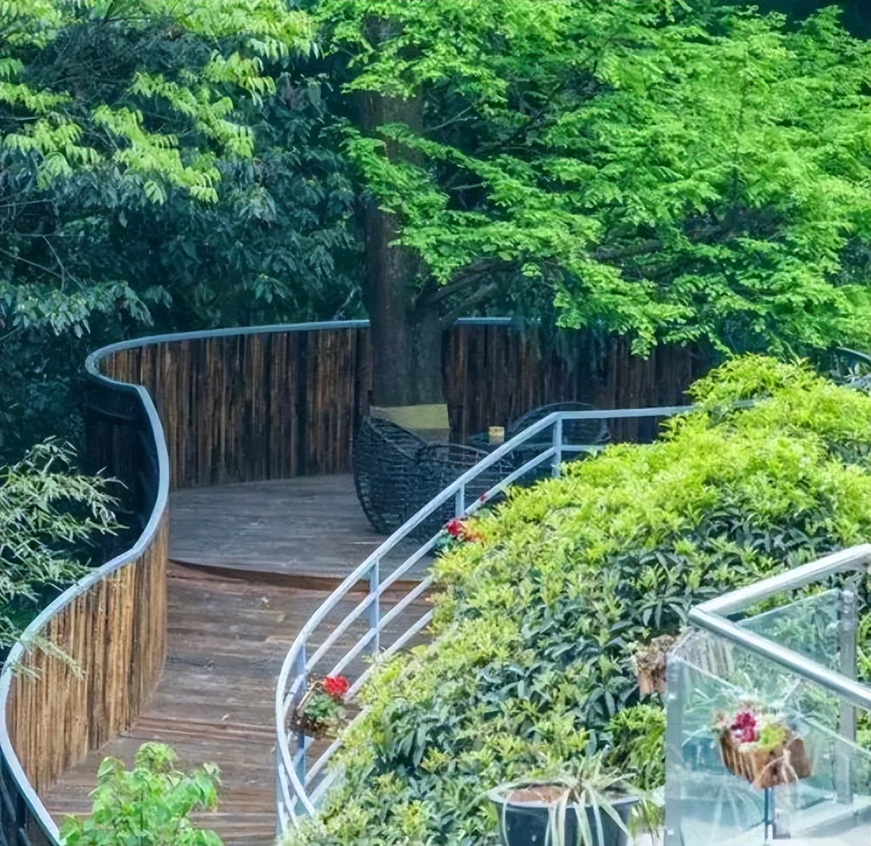 六月一起去邛崃逛古镇看云海日出共赴萤火虫之约