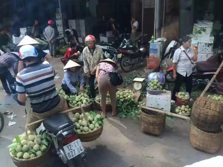 好看的越南米粉,广州最好吃的越南米粉
