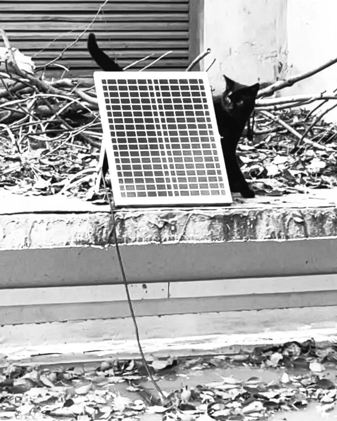 错过了一个秋天,错过了一个春秋