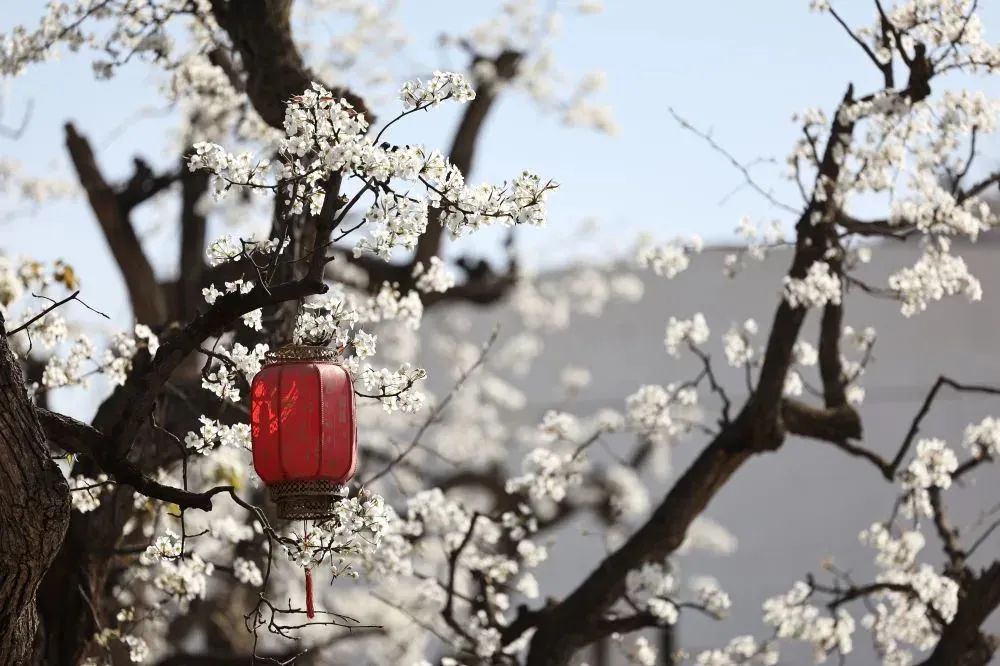 常新常玩！“云旅游”促区域文旅产业“营销”变“赢销”