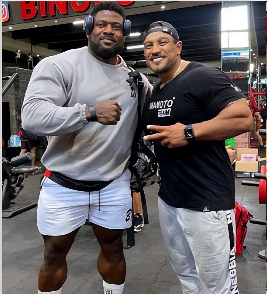 罗利温克拉三头训练,罗利温克拉比赛