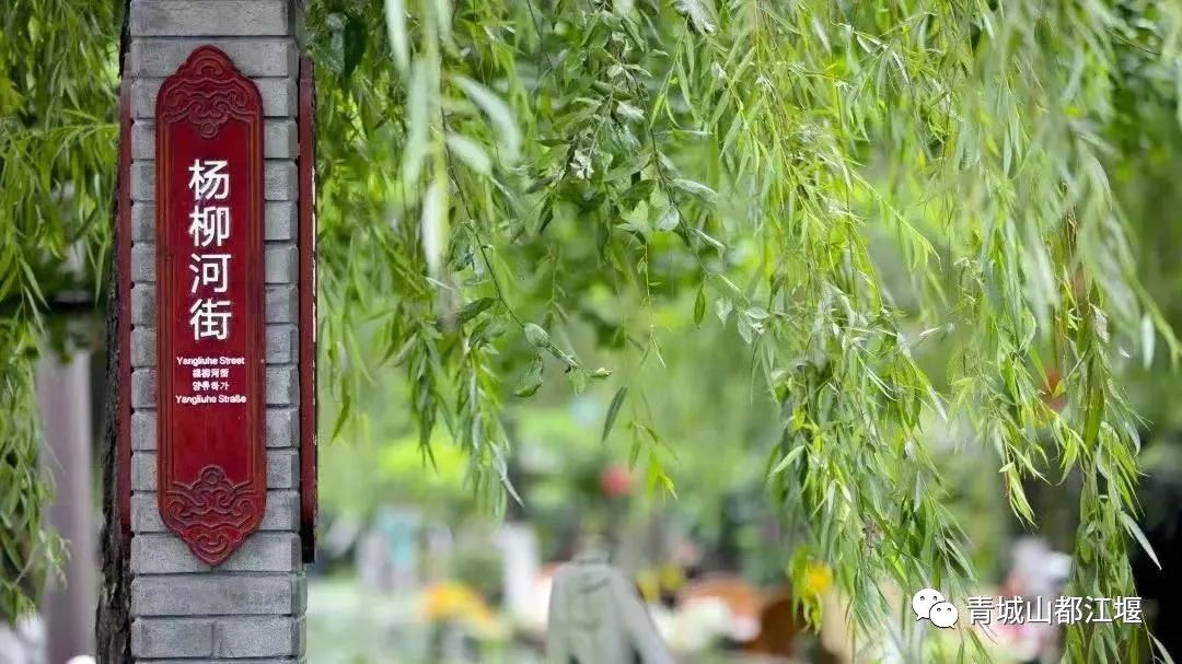 超安逸！水灵妹带你打卡都江堰6条烟火气十足的老街，告别喧嚣和浮躁，邂逅静美冬日~