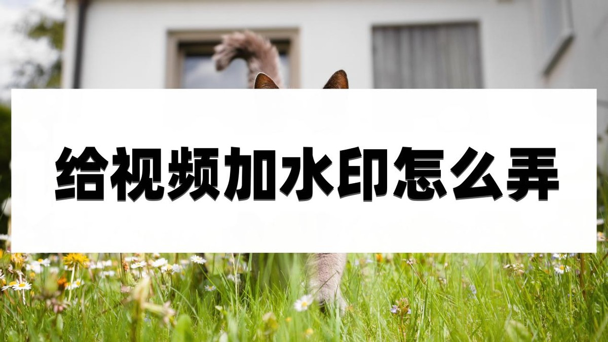 视频加水印剪映教程,剪映视频加水印