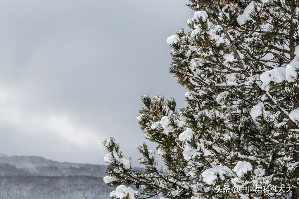 阴虚夹有湿热，扰动精室，遗泄不止，该如何恢复？