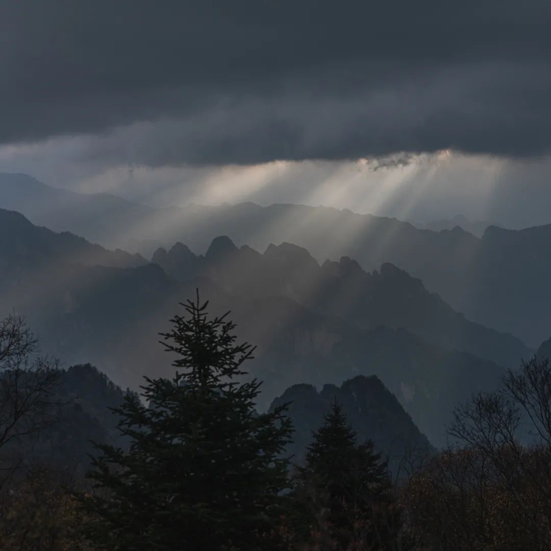 登太白山感受,太白山景区登顶拔仙台