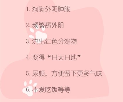 母狗也会来月经吗,狗也会来大姨妈吗