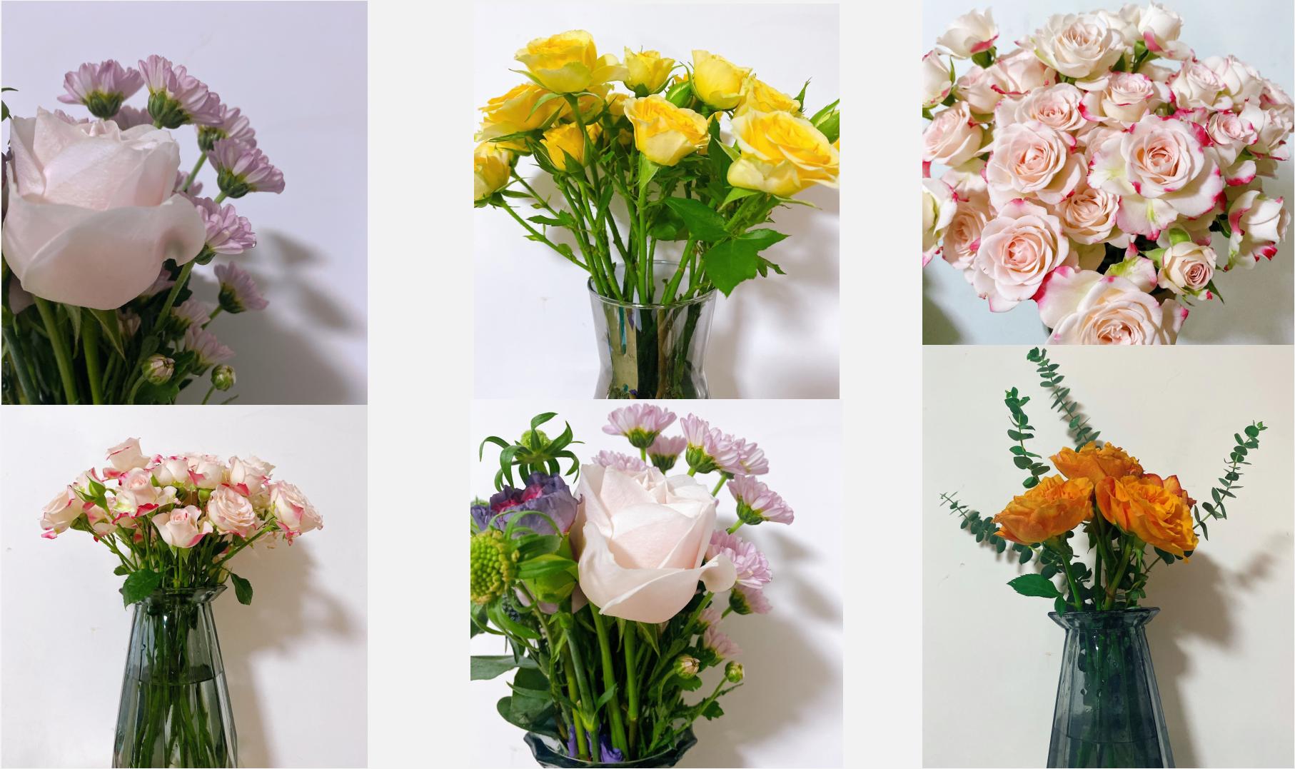 36岁独居8年：写作、赚钱、读书，你以为的孤独，只是偏见