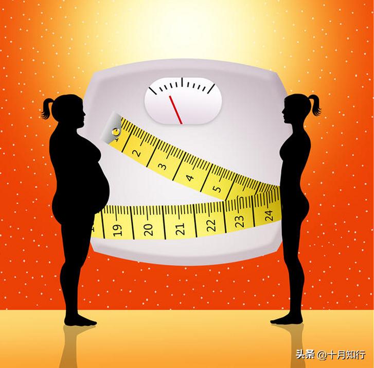 怎样能减掉肚子上的顽固脂肪,如何减掉身上脂肪还保留肌肉