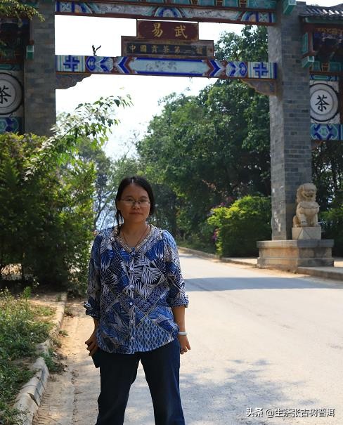 老茶客喜欢红茶吗,易武普洱生茶老茶的特点