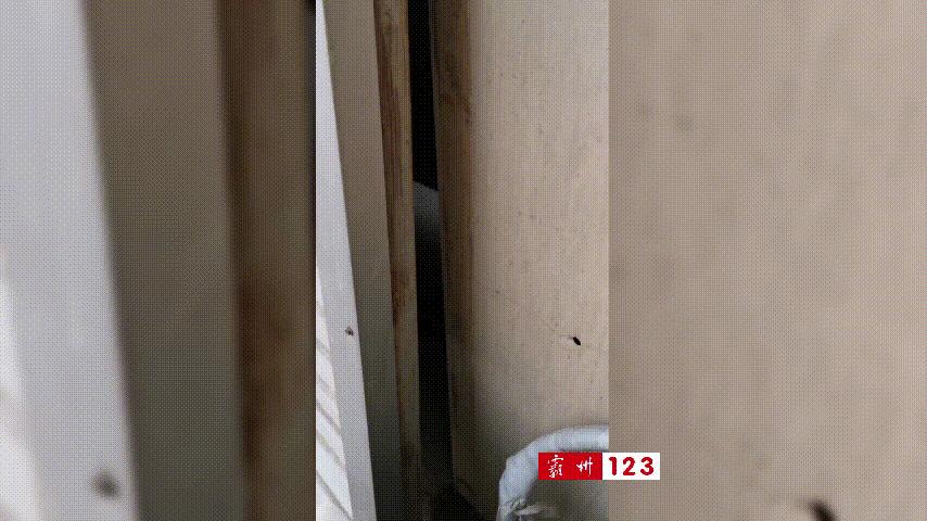 霸州足疗养生休闲会所,霸州胜芳伯爵丽都足疗会所