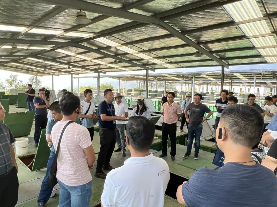 党建引领争先锋实干担当促发展,元阳县党建