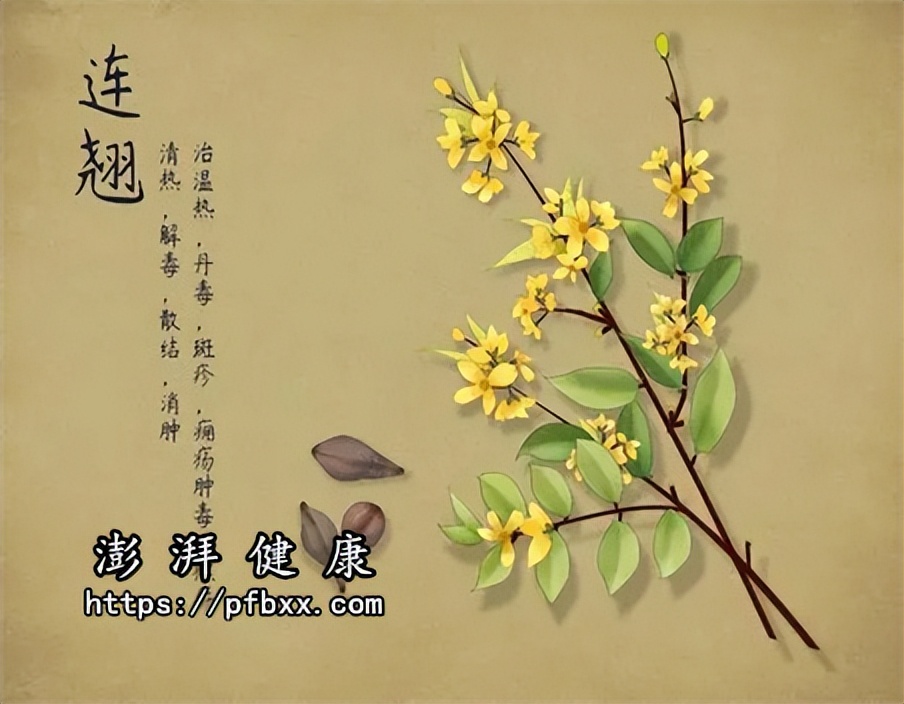 脸和脖子上起了痘痘痒痒一碰就疼,后背脖子上起很多痘痘用什么药膏