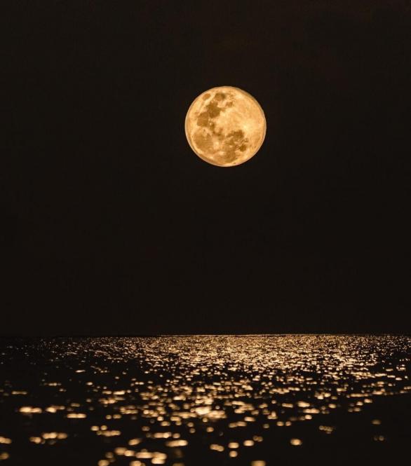 十五夜望月描写节日的诗句,关于月亮正月十五思乡的古诗