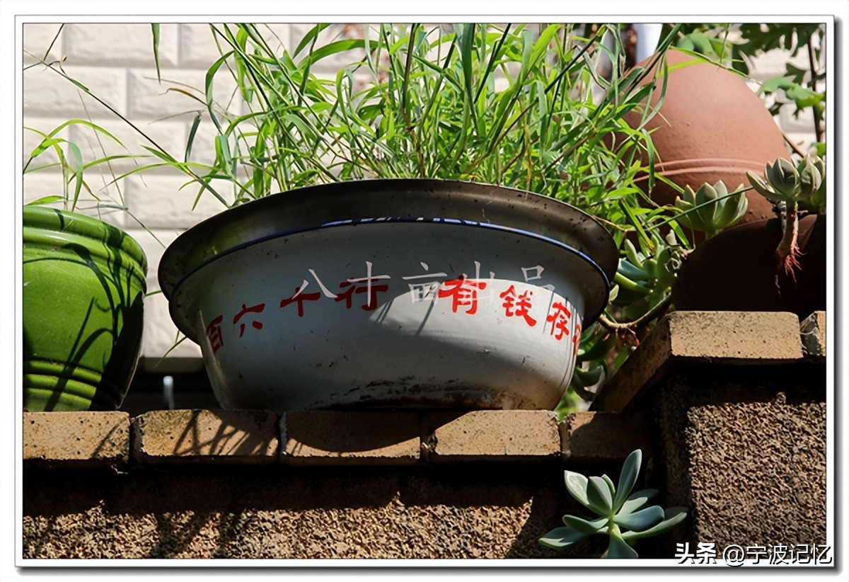 宁波市海曙区龙观乡政府网,宁波市海曙区龙观乡大庄水库