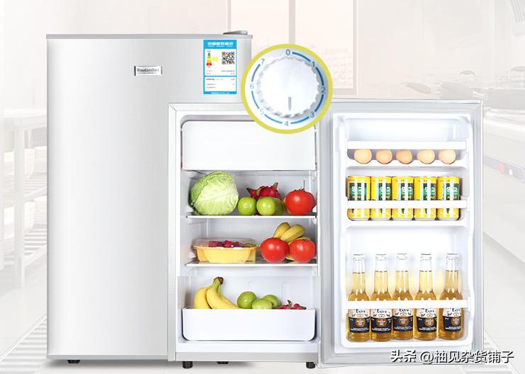 双开门冰箱的款式是什么样的,法式多门冰箱与十字对开门冰箱