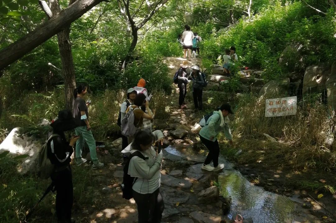 冬季天津户外徒步路线推荐,天津春天亲子徒步旅游路线推荐