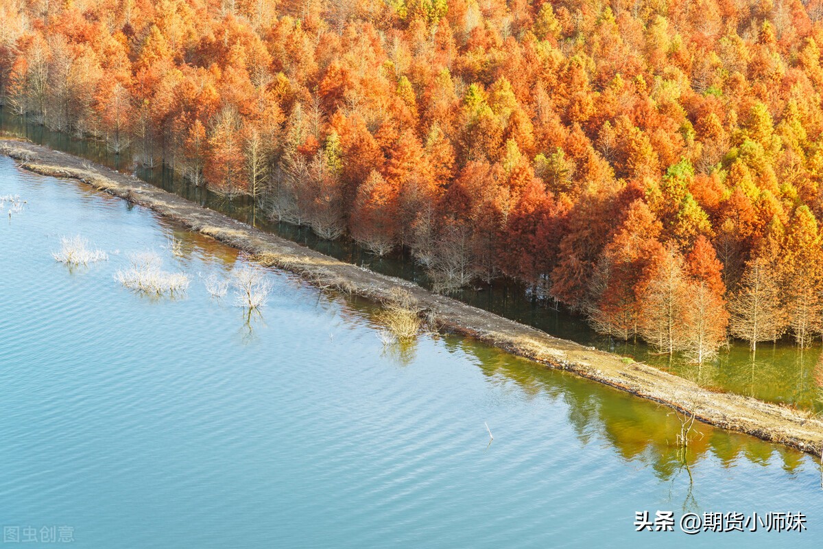 期货高手干货,期货交易短线选品种技巧