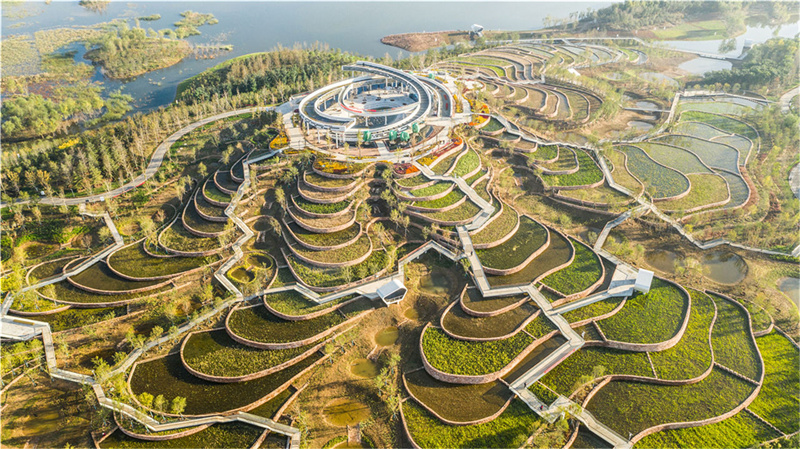 俞孔坚景观设计作品沈阳建筑大学,俞孔坚生态主义景观设计研究