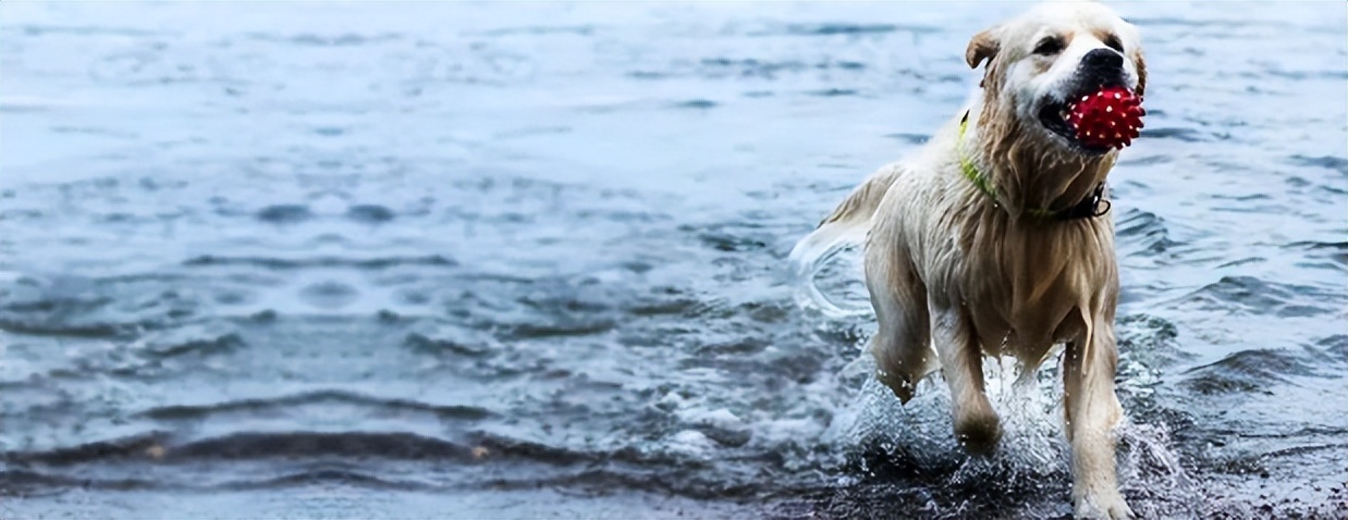 避坑指南内容,避坑指南提醒