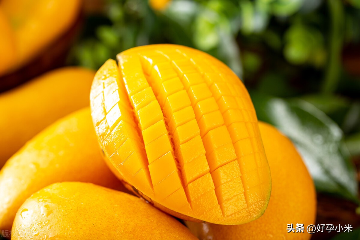 孕期不能吃的五大水果,孕期不能多吃的十大水果