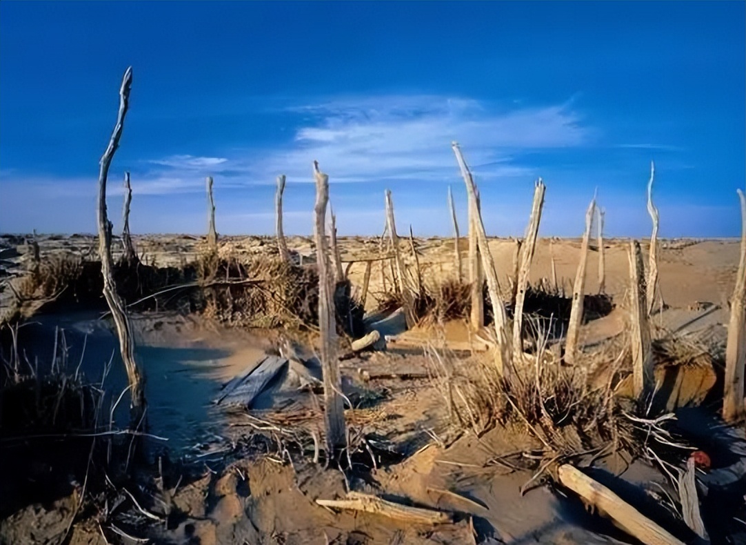 罗布泊诡异事件录,罗布泊九大诡异事件